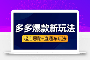 海神·多多爆款新玩法,起店思路+直通车玩法(3节精华课)