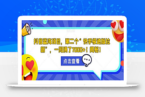 抖音蓝海项目,第二个“快手极速版拉新”,一周搞了7000+