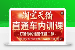 天问电商·2023淘宝天猫直通车内训课,零基础学起直通车运营实操课程