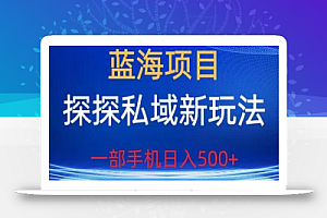 蓝海项目,探探私域新玩法,一部手机日入500+很轻松