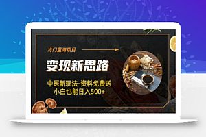 冷门蓝海项目-中医新玩法-资料免费送小白也能日入500+