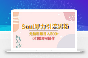 Soul暴力引流男粉玩法,无脑粗暴日入500+,0门槛即可操作