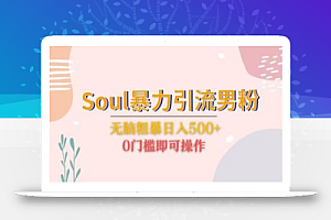 Soul暴力引流男粉玩法，无脑粗暴日入500＋，0门槛即可操作