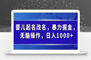 婴儿起名改名,暴力掘金,无脑操作,日入1000+