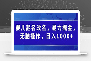 婴儿起名改名，暴力掘金，无脑操作，日入1000+