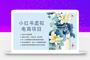 小红书虚拟电商从0到1,让你从小白到精英(20节实操课程)