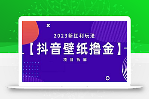 抖音壁纸小程序创作者撸金项目,2023新红利玩法