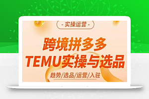 伍跃·跨境拼多多TEMU实操与选品,趋势/选品/运营/入住(27节完整)