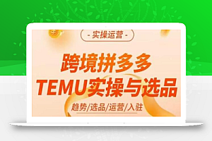 伍跃·跨境拼多多TEMU实操与选品，​趋势/选品/运营/入住（27节完整）