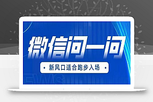 全网首发微信问一问新风口变现项目(价值1999元)