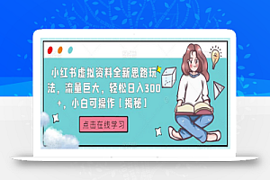 小红书虚拟资料全新思路玩法,流量巨大,轻松日入300+,小白可操作