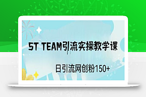ST TEAM引流实操课,日引流网创粉100+