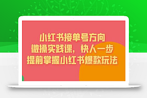 接单号方向·小红书微操实践课,快人一步,提前掌握小红书爆款玩法