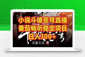 小说斗破苍穹直播,番茄畅听日入300+稳定项目