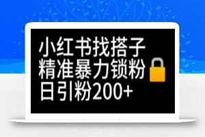 小红书找搭子暴力精准锁粉+引流日引200+精准粉