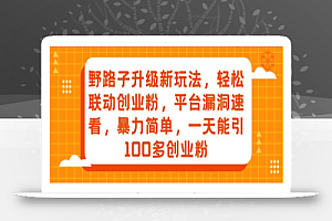 野路子升级新玩法,轻松联动创业粉,平台漏洞速看,暴力简单,一天能引100多创业粉