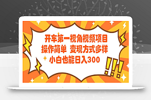 开车第一视角视频项目操作简单变现方式多样小白也能日入300