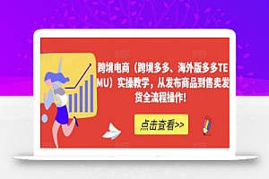 跨境电商(跨境多多、海外版多多TEMU)实操教学,从发布商品到售卖发货全流程操作!