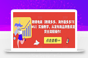 跨境电商（跨境多多、海外版多多TEMU）实操教学，从发布商品到售卖发货全流程操作！