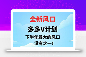 全新风口,多多V计划,下半年最大的风口项目,没有之一