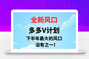 全新风口，多多V计划，下半年最大的风口项目，没有之一