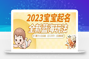 2023宝宝起名全新蓝海玩法,冷门暴力小白实操,日入1000+(全套教程)