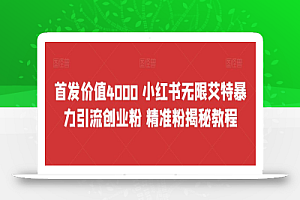 首发价值4000 小红书无限艾特暴力引流创业粉 精准粉揭秘教程