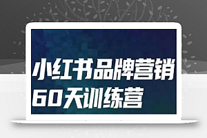 小红书品牌60天训练营第6期,GMV2亿级品牌老板都在学,教会你内容营销底层逻辑