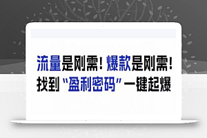 电商盈利精品课:6大盈利密码让产品更好卖,流量是刚需!爆款是刚需!找到”盈利密码”一键起爆