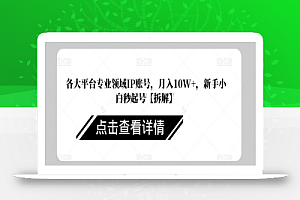 各大平台专业领域IP账号,月入10W+,新手小白秒起号【拆解】