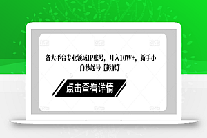 各大平台专业领域IP账号，月入10W+，新手小白秒起号【拆解】