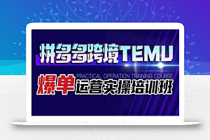 拼多多跨境TEMU爆单运营实操培训班,海外拼多多的选品、运营、爆单