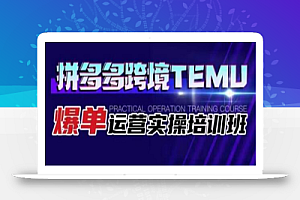 拼多多跨境TEMU爆单运营实操培训班，海外拼多多的选品、运营、爆单