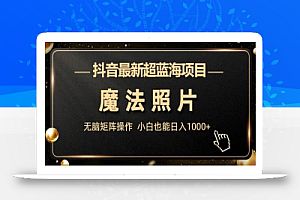 抖音最新超蓝海项目,魔法照片,无脑矩阵操作,小白也能日入1000+