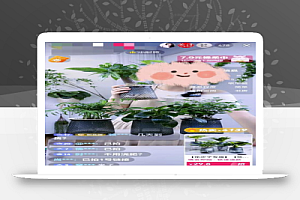 小众细分类目,一个月卖货超1000万!