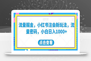 流量掘金,小红书注会新玩法,流量密码,小白日入1000+