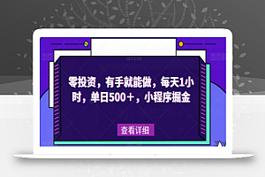 零投资,有手就能做,每天1小时,单日500+,小程序掘金