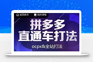 互力·拼多多直通车打法,ocpx&全站打法