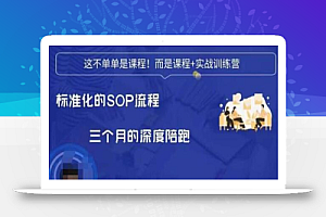 勋哥·短视频变现训练营，解决核心问题，标准化起号流程，以变现为核心