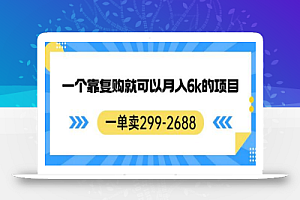 一单卖299-2688,一个靠复购就可以月入6k的暴利项目