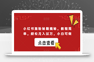小红书涨粉秘籍揭秘,教程简单,轻松月入过万,小白可做