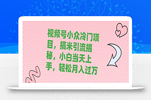 视频号小众冷门项目,搞米引流揭秘,小白当天上手,轻松月入过万