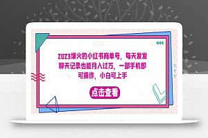 2023爆火的小红书商单号,每天发发聊天记录也能月入过万,一部手机即可操作,小白可上手