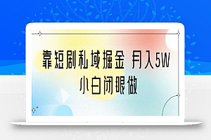 靠短剧私域掘金 月入5W 小白闭眼做(教程+2T资料)