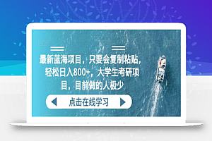 最新蓝海项目,只要会复制粘贴,轻松日入800+,大学生考研项目,目前做的人极少