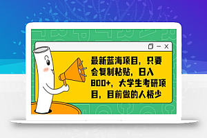 最新蓝海项目,只要会复制粘贴,日入800+,大学生考研项目,目前做的人极少
