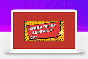 抖音搭配当下热门图片,无脑变现轻松日入1000+