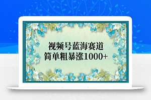 视频号蓝海赛道,简单粗暴涨1000+