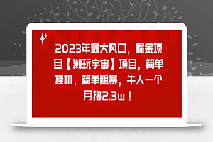 2023年最大风口,掘金项目【潮玩宇宙】,简单挂机,简单粗暴,牛人一个月撸2.3w!