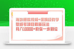 海外爆款视频+保姆级教学，壁纸号项目最新玩法，月入10000+教你一步到位